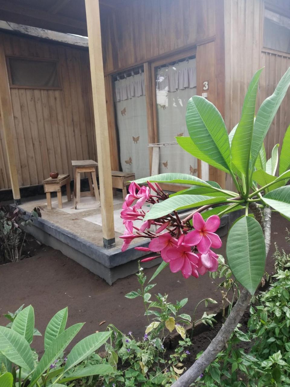Beach Box Bungalow Gili Trawangan Esterno foto